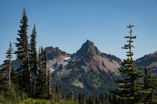 Pacific Northwest Pines and Tatoosh Mountains